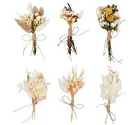 Hoxfly 6 Pcs Fleurs Séchées, Séchées Mini Bouquet Fleurs Séchées Naturelles Fleur, Fleur Séchée Bouquet de Fleurs, pour DIY Photo Photographie Prop Vase Mariage Party Home Décoration