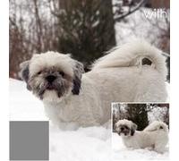 Hoya 49 mm NDx2 filtre à densité neutre