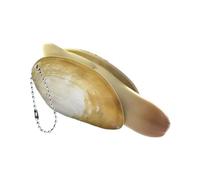 Hozaenwa Lanceurs d'eau, Pistolet À Eau Coquillage Extérieur pour, Portables pour - Fêtes de Piscine, Plage, Jeux d'Extérieur, Anniversaires, Rassemblements Familiaux et Batailles d'Équipe