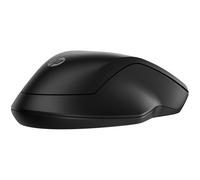 HP 255 Dual Wireless Mouse