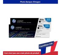 HP 304A Dualpack Toner Black 2 Pack