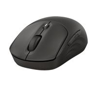 HP 405 Quiet BLK Wireless Mouse EMEA INTL Euro plug (EN)