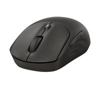 HP 405 Quiet Wireless Mouse, Ambidextre, Optique, RF sans fil + Bluetooth, 1200 DPI, Noir AZ7B3AA#ABB