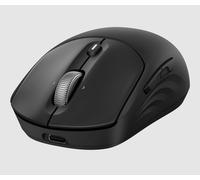 HP 705 Rechargeable Wireless Mouse EMEA souris