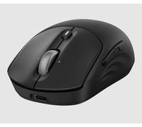 HP Souris 705 sans fil rechargeable — Compatible Windows, macOS et Linux
