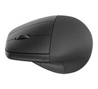 Souris sans Fil Ergonomique HP 920
