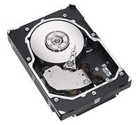 HP BF3008B26C Disque dur interne 300 Go 15000 RPM