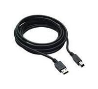 HP Câble DP et USB B vers A 300 cm pour L7016t L7014t et L7010t