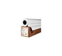 HP Professional Matte Canvas - Papier toil? mat - 22 milli?mes de pouce Rouleau (106,7cm x 15,2 m) - 390 g/m? - 1 rouleau(x) - pour DesignJet 5000, 5500, Z2100, Z3100, Z3200, Z5200, Z5400, Z6100...