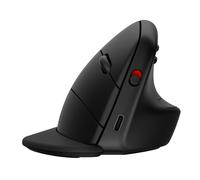 HP Souris sans fil ergonomique 920