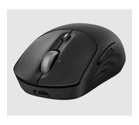 HP Souris sans fil rechargeable 705