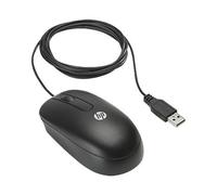 HP USB Optical Scroll Mouse, Ambidextre, Optique, USB, 800 DPI, 100 g, Noir