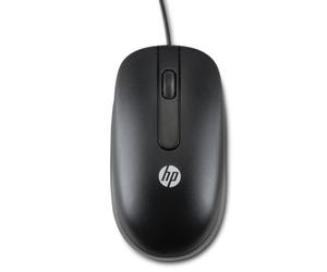 HP USB Optical Scroll Mouse souris Bureau Ambidextre USB Type-A Optique 800 DPI