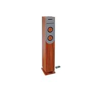 INOVALLEY HP34-CD-WOOD Tour de Son Lecteur CD - Bluetooth - 100 W - USB - Bois et Gris