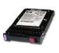 HPE - Disque dur - 146 Go - échangeable à chaud - 2.5" SFF - SAS - 10000 tours/min