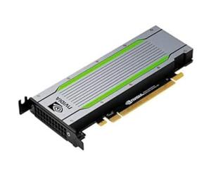 HPE - S SVR STOR & INF (SI) BTO Module NVIDIA Tesla T4 16 Go