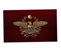 Hperu Drapeau SPQR, bannière de l'empire Romain Senatus Populusque Romanus 3x5 FT avec œillets en Laiton, pour Affichage Historique, bannière Romaine