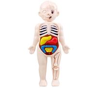 Hperu Modèle de Corps Humain pour Enfants, modèle d'anatomie de 7 x 4 Pouces avec Organes détachables, Jouet éducatif Scientifique ABS sans bavures pour Enfants Plus 3 Ans, Anatomie