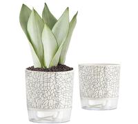 Hperu Planteur d'auto-Eau, 2pcs Pot de Plante d'auto-arrosage 4.3 & 5.5 Pots d'arrosage Auto avec réservoir de Plante intérieure pour la Plante d'araignée, orchidée, Type 2