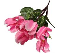 HpLive Fleurs artificielles, cyclamen artificielles à 7 branches en tissu doux, 36 cm de haut, décoration réaliste pour table ou étagère (rose)