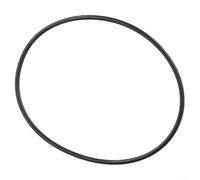 HpLive Joint torique, joint de rechange pour pompe de filtre à sable, convient pour Intex SPS25, SPS50, SPS75, SPS100, pour Steinbach, empêche les fuites, montage facile, diamètre intérieur de 77 mm