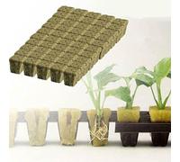 HpLive Lot de 50/100 cubes de culture hydroponique - Blocs de substrat de culture sans sol - Cubes de démarrage - Forte absorption d'eau et bon drainage pour une croissance vigoureuse des plantes