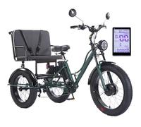 HpLNDas Tricycle éLectrique 24 Pouces à Gros Pneus avec Siège Passager pour Adulte, VéLo éLectrique 48 V/18 Ah - Charge Maximale : 150 Kg, écran LCD Et Phare, pour La Ville Et La Montagne.,Green