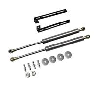 HPZPRPCEW Pour Citroen DS3 2009-2016 Capot Avant Vérins Tige De Support Levage Amortisseur Hydraulique Pistons Modification Ressort À Gaz(Black carbon fiber)