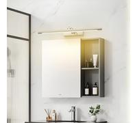 HQHYGM Miroir de Salle de Bain Lumière Murale 240 ° + 180 ° Lampe Murale rotative avec Mur étanche Iron Acrylique Long décoratif Minimaliste pour la Cuisine de la Chambre à Coucher (80 cm de lumière