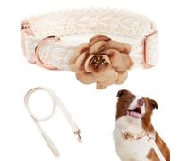 HQREA - Ensemble de Collier et Laisse brodée de Fleurs en Dentelle avec Fermeture en métal pour Chien, réglable, pour Chiens de Taille Moyenne, M