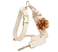 HQREA Ensemble Harnais et Laisse pour Petit Chien, Tissu en Dentelle de Coton avec Fleurs Amovibles, Pas de Traction avec poignée, Promenade Facile du Chien, Blanc, S