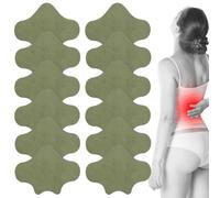 HQRKOTM Lot de 12 patchs patch initiv anti douleurs patch douleur dos pour le dos