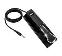 HQRP Pédale de sustain pour Casio Ctk-2090 Ctk-2400 Ctk-4200 Ctk-4400 Ctk-2000 Ctk-2080 Ctk-2100 Ctk-2200 Ctk-2300 Ctk-3000 CTK-3200 Ctk-451 Ctk-471 Ctk-481 prise Ctk-720 Ctk-800 clavier + HQRP Sous-Verre