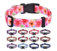 HQYDDMI Collier pour Chien, avec Coucher de Soleil Motif Tendance avec Boucle à dégagement Rapide, Fleur Design, Collier Classique, pour Petits, Moyens et Grands Chiens（Fleurs C,S