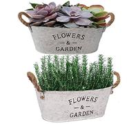 Hreyywo Ensemble de 2 JardinièRes en MéTal Rustique avec PoignéEs, Pots D'Herbes Succulentes de Ferme, Conteneur de Plantes Vintage pour IntéRieur