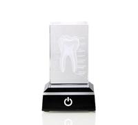Hreyywo Modèle en Cristal de Dent Humaine, Modèle Anatomique Gravé au, Dentisterie Buccale Gravée pour la Décoration de Bureau, Cadeaux de Dentiste