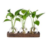 Hreyywo Stations de Propagation des Plantes Station de Vase en Verre Terrarium de Plantes RéTro avec Plateau en Bois Ampoule Vase à Fleurs DéCor de Bureau à Domicile