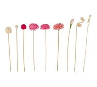 Hrippy 9 Pièces Bâtons De Diffuseur De Roseaux, Diffuseur De Parfum De Roseau en Rotin Recharge De Remplacement De Fleurs Bâtons De Rotin pour Décoration De Parfum De De Bureau À Domicile