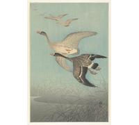 HRJUBWREE Célèbre Image sur Toile Graffiti Art Murale Couac sous la pluie par Ohara Koson Vintage Impressions sur Toile Pour la Décoration Murale 60x90cm