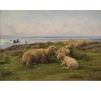 HRJUBWREE Célèbre Image sur Toile Graffiti Art Murale Mouton par Rosa Bonheur Vintage Impressions sur Toile Pour la Décoration Murale 60x90cm