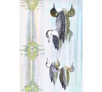 HRJUBWREE Célèbre Peinture D'Art Murale Toile Murale Tableau Illustration de l'histoire naturelle des oiseaux de l'Est par Louis Agassiz Fuertes Affiche Artistique Pour un Usage Bureautique 60x90cm