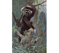 HRJUBWREE De Célèbres Tableaux Toile Murale Tableaux Peinture Murale Nordique Gibbon à mains blanches d'après Wilhelm Kuhnert Impression Affiche Pour la Décoration de la Chambre 60x90cm