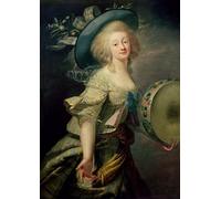 HRJUBWREE Imprimer Affiche Murale D'Art L'Image Portrait de Marie Anne De Cupis également connue sous le nom de La Camargo par Elisabeth Louise Vigee Lebrun Décorations Pour la Maison 60x90cm
