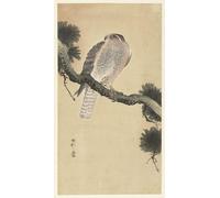HRJUBWREE Portrait Tableaux Imprimer Affiche Murale D'Art L'Image Deux colombes à la chute des feuilles de ginkgo par Ohara Koson Vintage Impressions sur Toile Décorations Pour la Maison 60x90cm