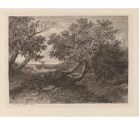 HRJUBWREE Portrait Tableaux Imprimer Affiche Murale D'Art L'Image Ruisseauarbres en surplomb d'Alexandre Calame Vintage Impressions sur Toile Décorations Pour la Maison 60x90cm