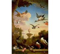 HRJUBWREE Portrait Tableaux Imprimer Affiche Murale D'Art L'Image un canard colvert et un oiseau doré dans un paysage de jardin classique par Melchior De Hondecoeter Décorations Pour la Maison 60x90cm