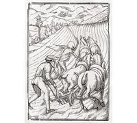 HRJUBWREE Posters Impressions Toile Moderne D'Images Art Imprimé Image La mort vient pour le fermier ou le laboureur par Hans Holbein le Jeune Pour la Décoration du Salon 60x90cm