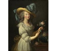 HRJUBWREE Posters Impressions Toile Moderne D'Images Art Imprimé Image Portrait de la reine Marie Antoinette de France d'après par Elisabeth Louise Vigée Lebrun Pour la Décoration du Salon 60x90cm