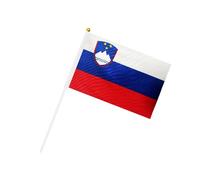 Hrlace Petit drapeau pour événements sportifs 2024 Drapeau à la main 24 pays Tissu double face EM Décoration Drapeaux tenus à la main pour défilés, fêtes de festival, 21 x 14 cm Slovénie 20 pièces