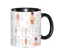 HRRASFAZF Tasse à Café | Tasse Céramique Fine | Cadeau Original | 330ml | Mug avec Anse | Cadeau Original pour Homme et Femme | Anatomie humaine, tableau complet des différentes structures du corps e